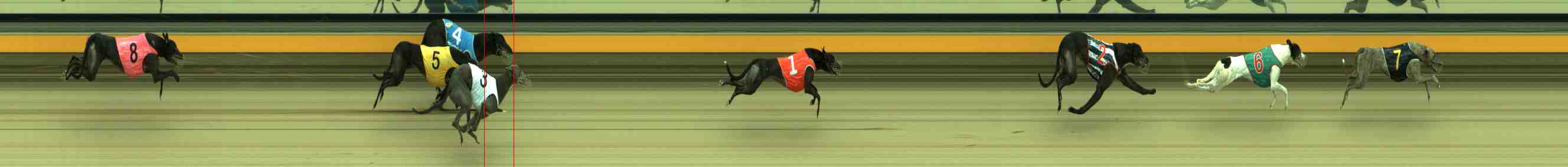 Race result finish photo